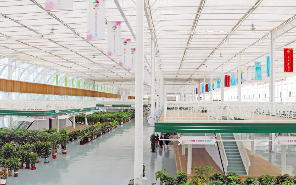 东丽湖花卉市场